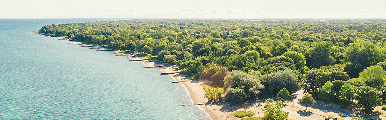 Ariel view of a lake and land with trees.