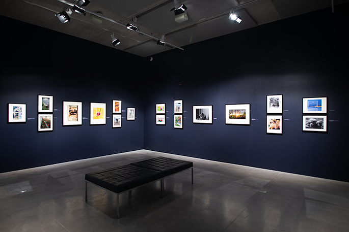 a bench in front of navy blue walls with various photographs hung