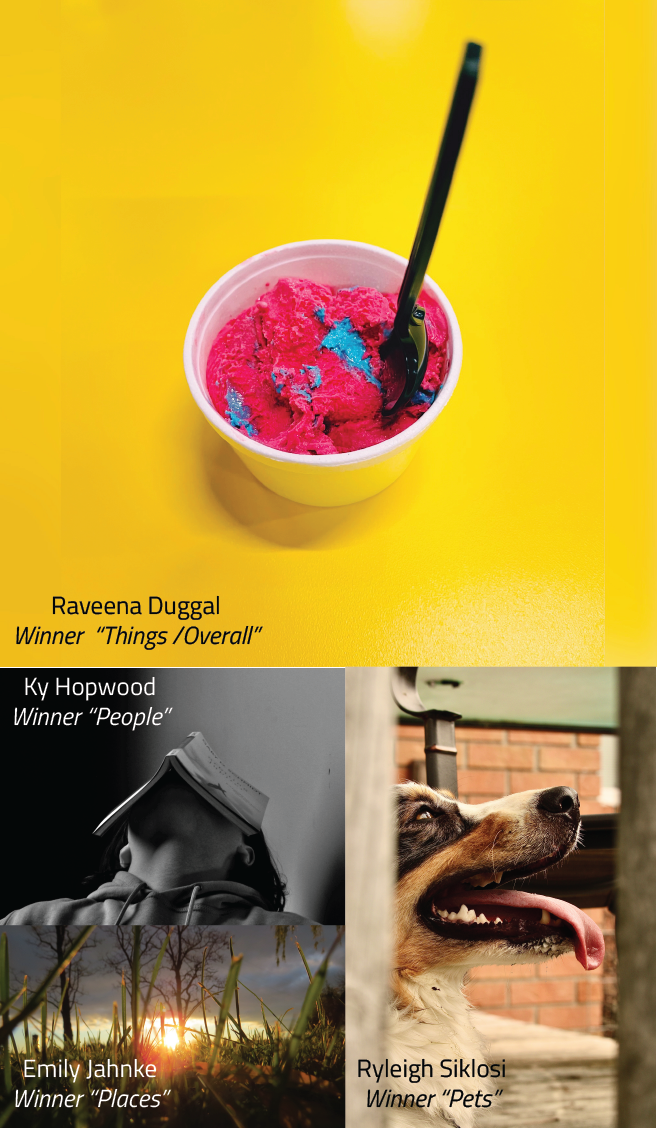 4 images in a collage: cotton candy ice cream with a yellow background text overlay Raveena Duggal Winner "Things/Overall", Person with book on head text overlay Ky Hopwood Winner "people", sunset in a field text overlay Emily Jahnke Winner "Places", profile of a dog text overlay Ryleigh Siklosi Winner "pets"