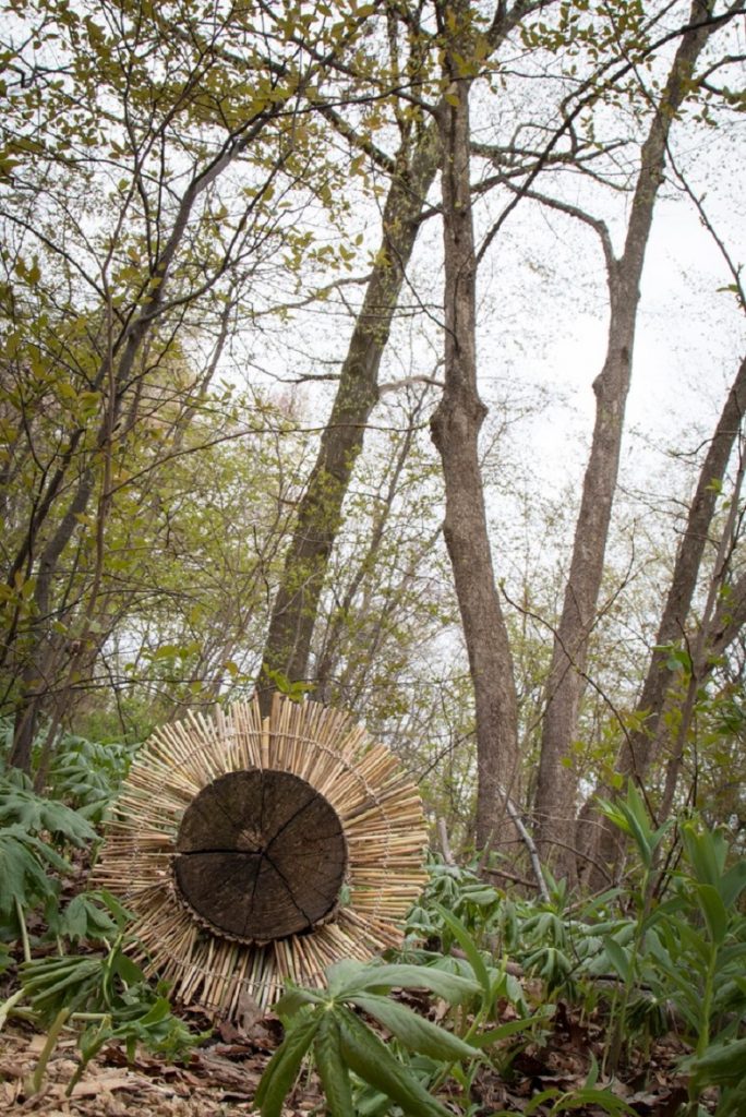 Work featured in Signposts and Traces: Tree Memorial Trail