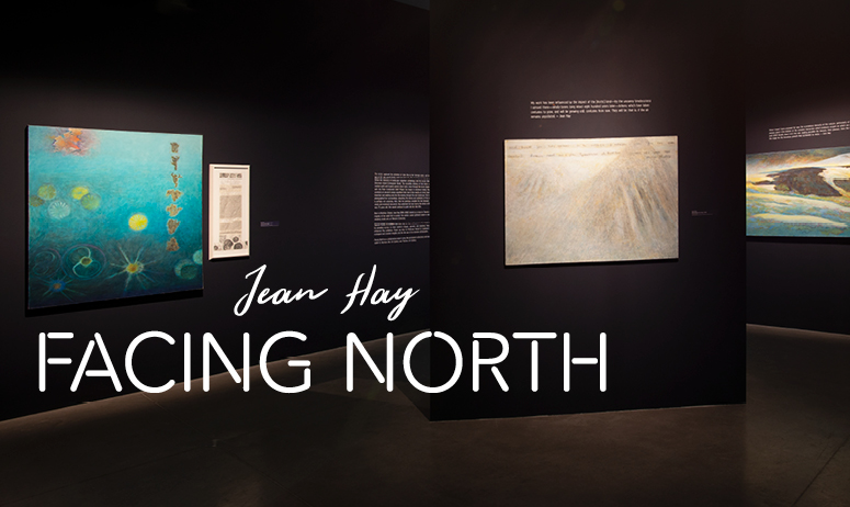 Image of Exhibition Installation - Overlay Jean Hay Facing North