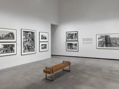Install of Larry Towell Boundaries