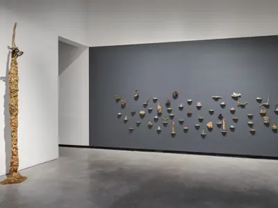 Install of In The Garden Of Exquisite Unknown