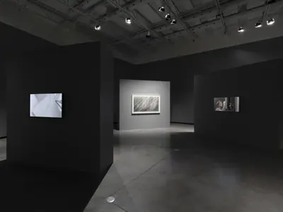 Install of Beside Myself: Kelly Wallace