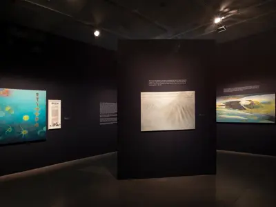 Install of Facing North