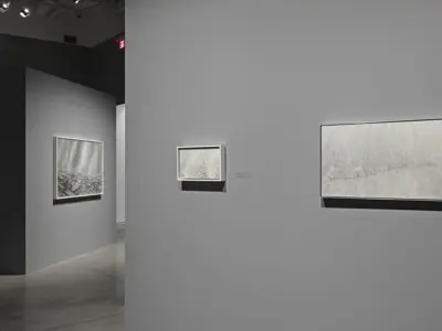 Install of Beside Myself: Kelly Wallace