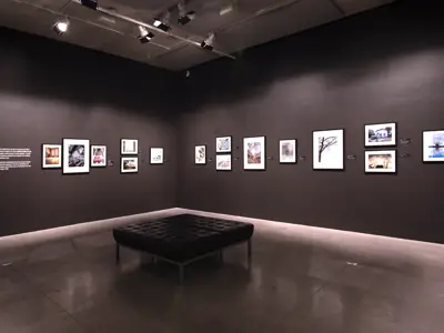 Install of Lambton Through the Lens