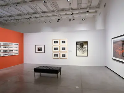 Install of Photography in Canada 1960-2000