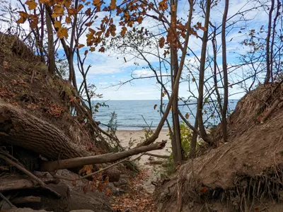 Lambton Through the Lens local icons winner. Canatara beach peeks through two sand dunes during a crisp autumn day. Fallen leaves can be seen on the sand.