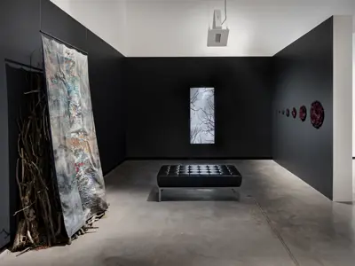 Install of In The Garden Of Exquisite Unknown