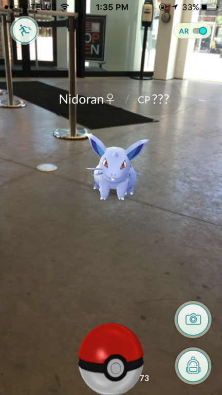 Pokémon in lobby of Judith & Norman Alix Art Gallery