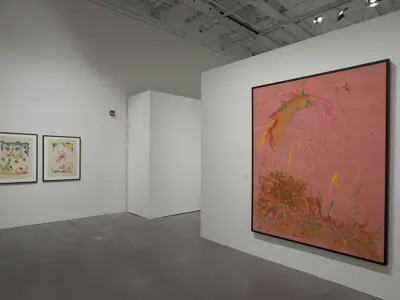 Install of A New View