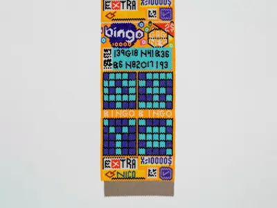 bingo_orange_closeup---extended.png