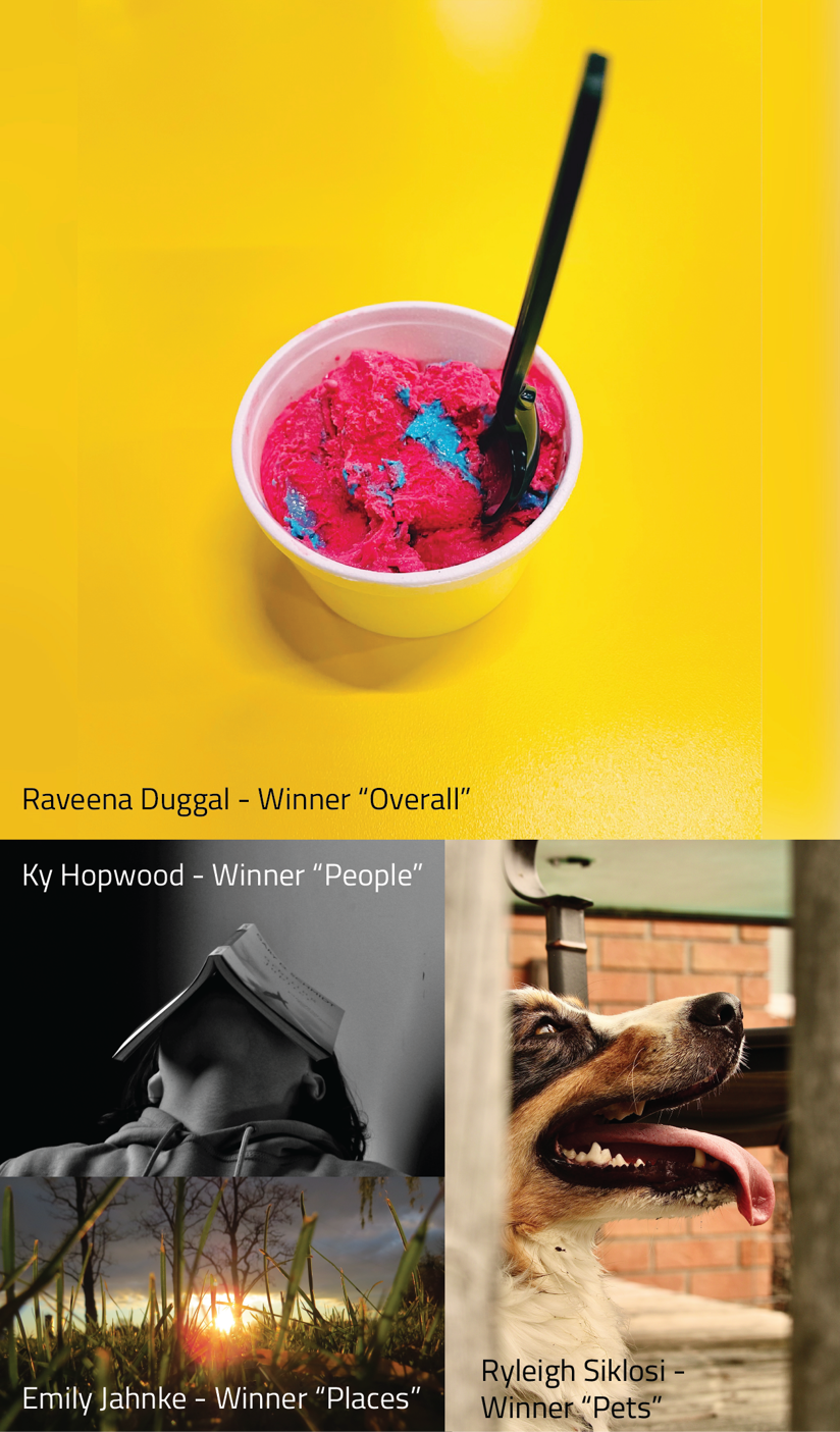 4 images in a collage: cotton candy ice cream with a yellow background text overlay Raveena Duggal Winner "Things/Overall", Person with book on head text overlay Ky Hopwood Winner "people", sunset in a field text overlay Emily Jahnke Winner "Places", profile of a dog text overlay Ryleigh Siklosi Winner "pets"