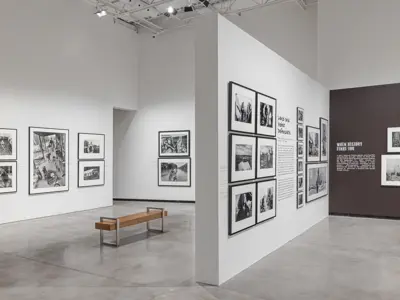 Install of Larry Towell Boundaries