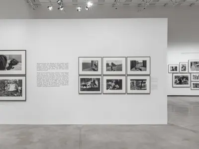 Install of Larry Towell Boundaries