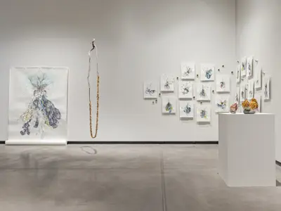 Install of In The Garden Of Exquisite Unknown