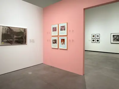 Install of Photography in Canada 1960-2000