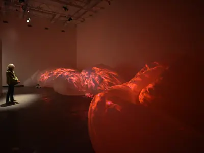 Install of Siphonophora
