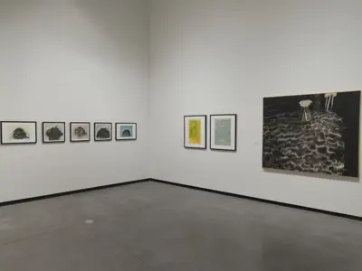 Install of A New View