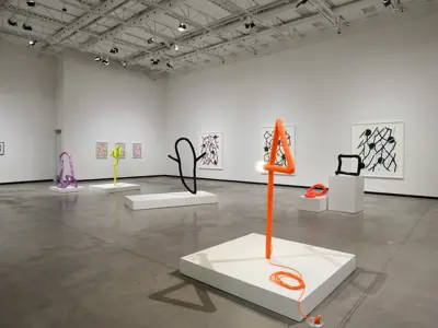 Install of Jaime Angelopoulos