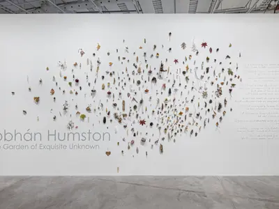 Install of In The Garden Of Exquisite Unknown