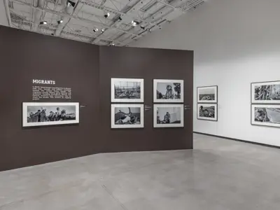 Install of Larry Towell Boundaries