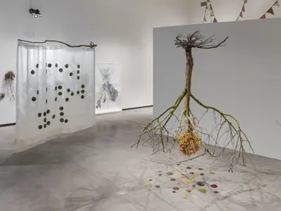 Install of In The Garden Of Exquisite Unknown