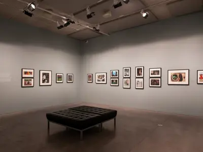 Install of Humans of Lambton