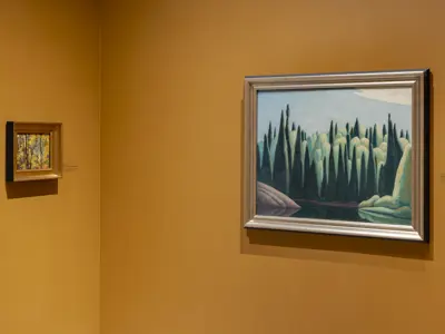 Install of Tom Thomson and the Group of Seven